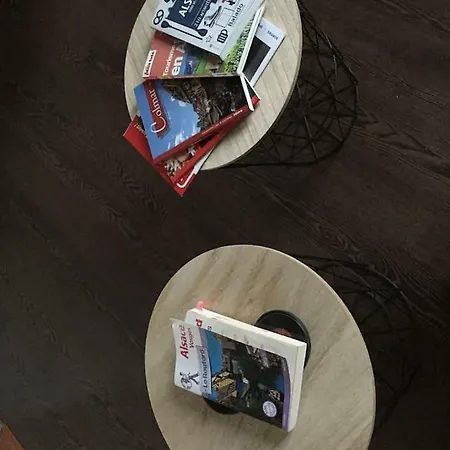 Hopla 2 Lejlighed Colmar