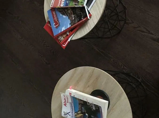 Hopla 2 公寓 科尔马